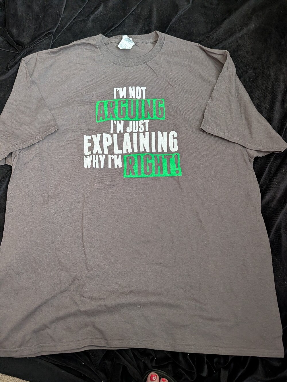 Men's Grey Graphic Tee - 'I'm Not Arguing'